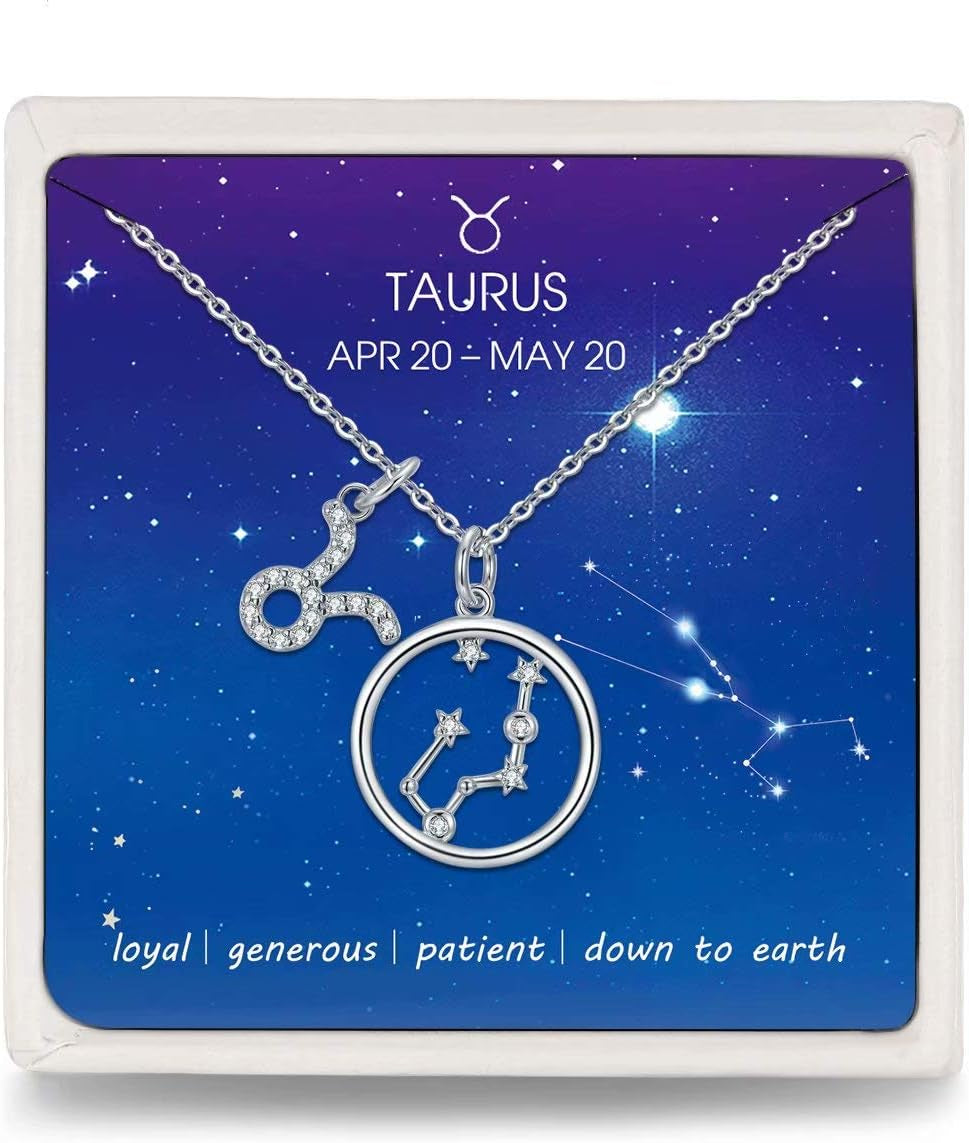 2pc Zodiac Necklace